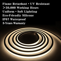 Tira de Luz LED de Neón 12V 24V 80RA+ IP67, Uniforme, Sin Puntos, Flexible, para Letreros, Hogar, Centro Comercial, Parque, Proyectos, Exteriores