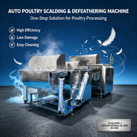 Machine industrielle automatique à plumer les poulets 1000-3000BPH en SUS304, machine d'échaudage et de plumeage robuste pour ligne de traitement de volailles