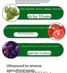 Lavadora Comercial de Frutas y Verduras con Tecnología Vortex, Desinfección con Ozono, Acero Inoxidable 304SS, para Restaurantes y Marisquerías - Product Image 6