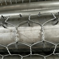 Machine à tisser le grillage gabion horizontal CNC, servo-électrique, automatique, à double torsion, pour mailles hexagonales