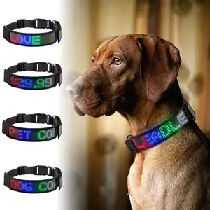 Collier de chien LED rougeoyant USB rechargeable étanche près de moi étiquette nominative collier en nylon lumineux message de défilement signe sécurité de nuit