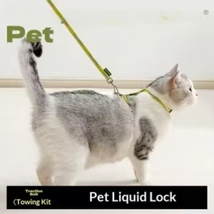 Conjunto de <span class=keywords><strong>Collar</strong></span> y Arnés Acolchado de Nailon para Perros y Gatos, para Paseos Deportivos al Aire Libre - Product Image 1