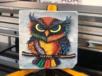 Fabricante Freecolor Marca Desktop Type Small A4 Hybrid Inkjet Uv Printer Con Bajo Costo Y Fácil Mantenimiento