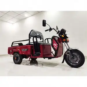Hot Selling 60V 12V Customize Open Body Drift Trike Electric Tricycles For Men Use