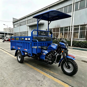 Nuevo Estilo de Triciclo Motorizado a Gasolina, <span class=keywords><strong>Motocicleta</strong></span> Popular para Adultos de 200CC <span class=keywords><strong>2500CC</strong></span>, Triciclo de Carga a Gasolina en Venta - Product Image 4