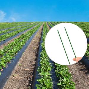 Pregos em U de PVC com Revestimento em Pó Anticorrosivo de Alta Qualidade para Uso em Jardins - Product Image 6