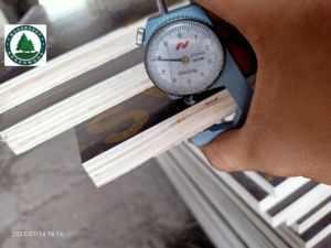 Venta directa de fábrica, película de arce canadiense ecológica, cara de chapa de abedul de madera contrachapada amarilla para uso en la sala de estar, precio barato - Product Image 6