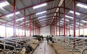 Matériaux de construction en métal pour le bétail Conception de ferme légère pour bétail Mouton Vache Chèvre Granges ASTM Standard Soudage Coupe Inclus - Product Image 6