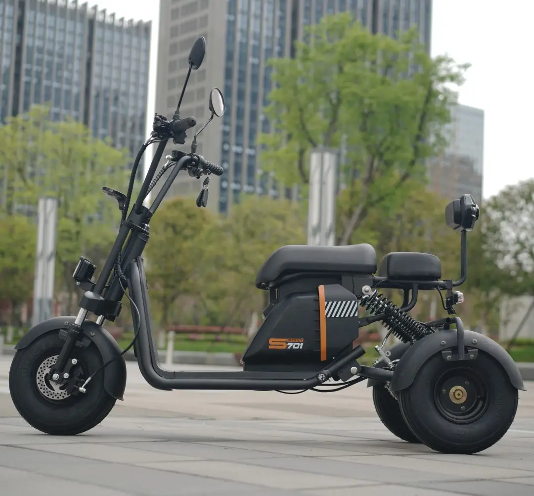 Popular 48V 1000W Electric Off Road Scooter Fat tire Adult leisure style Three wheel Electric Tricycle Scooter