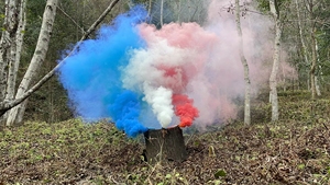 Esercitazione antincendio fumo della <span class=keywords><strong>polvere</strong></span> dye colorato fumo della <span class=keywords><strong>polvere</strong></span> <span class=keywords><strong>colorante</strong></span> - Product Image 2