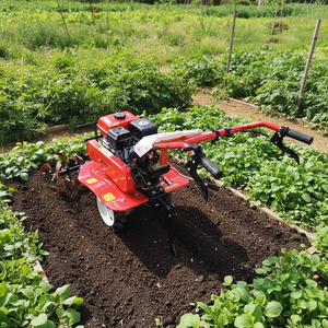 CE Certified Low-maintenance Adjustable Depth Agricultural Tiller, Soil Tiller, Suitable for Small Farms and Plantations - Product Image 1
