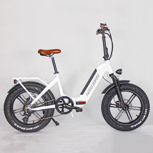 Vélo électrique à pneus larges de 20 pouces, fabriqué en Europe, sans droits de douane anti-dumping, vélo électrique 36V/48V 14Ah G2617-AZF, moteur arrière, nouveau modèle, vélo à assistance électrique - Product Image 1