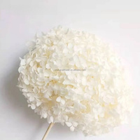 Fleur d'hortensia à grande feuille stabilisée naturelle et préservée en gros pour la décoration de mariage ou de maison