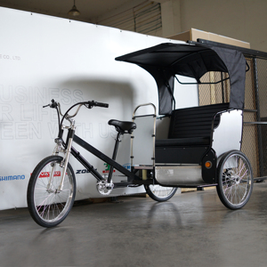 Vélo électrique de 26 pouces avec housse de pluie, rockfishing, 3 roues