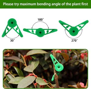 Pinces de pliage de plantes réglables, serre-tiges, écarteurs de branches d'arbres, pinces d'entraînement pour plantes - Product Image 3