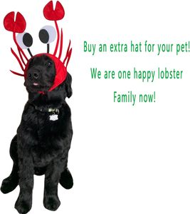 Mới lạ 3D thêu tôm hùm Crawfish cua hải sản hat với móng vuốt Beanies làm từ vải thông thường - Product Image 6