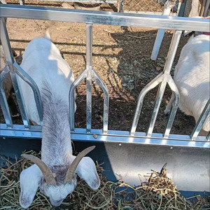 Mangiatoia per Pecore in Acciaio Zincato Rinforzato con Coperchio Ribaltabile e Design Anti-Combattimento, Mangiatoia per Foraggio per Capre e Bestiame da Allevamento - Product Image 3