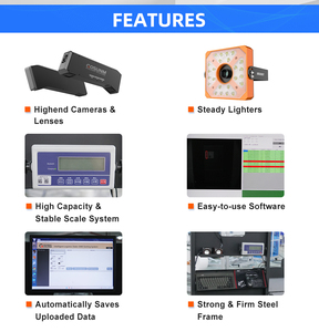 نظام فرز الطرود الثابت GS-SD-001 من Gosunm للتخزين والتجارة الإلكترونية والخدمات اللوجستية، مع منفذين للفرز الآلي، مصنوع من سبائك الألومنيوم، بسعة 3000 قطعة/ساعة - Product Image 3