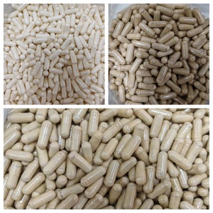 Complément alimentaire en gros - Capsules de champignon crinière de lion pour la cognition, vitamines pour le cerveau, capsules de champignon crinière de lion pour le soutien du cerveau - Product Image 3