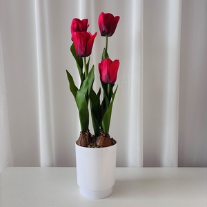 <span class=keywords><strong>Tulipe</strong></span> Artificielle Populaire en Pot, Bonsaï Haute Simulation pour Décoration Intérieure, Ornement Végétal <span class=keywords><strong>de</strong></span> Table - Product Image 6