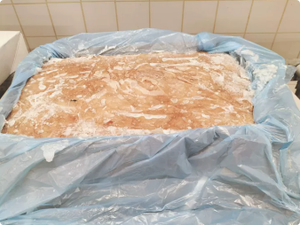 Morue d'Atlantique congelée, nettoyée, IQF / Congelée en bloc, pour la transformation - Product Image 3