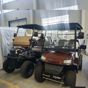 Carrito de Golf Tipo Buggy, Modelo 2024, con 7-8 Asientos, Autonomía de 50-70 km, Baja Velocidad, Certificación GCC/CE/EEC/DOT, Peso Ligero de 200-300 kg, Precio de Fábrica - Product Image 4