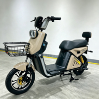 Nueva Bicicleta Eléctrica Urbana de Alta Velocidad 2026, 1000W, Carga Rápida, con Caja de Reparto, 45 km/h