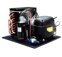 Unidad Condensadora de Compresor de Refrigeración Hermético 110V 1/3HP 1/2HP R290 Ecológico, Repuestos para Refrigerador -20C 18C