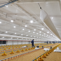 Équipement d'éleveur automatique de canards de chair Mangeoire d'alimentation domestique Élever du poulet en croissance Système de plancher de volaille Machines de ferme pour poulets