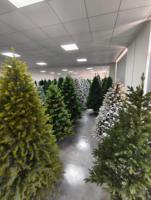 Branche en PE feuille de saule super luxe + arbre de Noël pointu floqué en PVC pré-éclairé avec LED blanc chaud