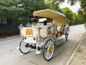 Luxury Zhenda Electric 6-Person Solid Rubber Tires Horse Carriage for Sightseeing-Best-selling - Product Image 6