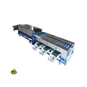 Potato Cherry Tomato Sorting Machine Orange Diameter Size Grading Machine Round Fruit Grading Machine - Product Image 3