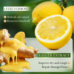 Shampoo nourrissant lissant, nettoyage en profondeur, antipelliculaire, soin doux du cuir chevelu, contrôle des frisottis, traitement hydratant des cheveux, utilisation quotidienne - Product Image 5