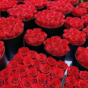 Scatola in Velluto con Coperchio per <span class=keywords><strong>Rosa</strong></span> Eterna Preservata, <span class=keywords><strong>Rosa</strong></span> Antico, Fiore Vero per Sempre, Ideale per Laurea, Natale, Ringraziamento, Capodanno, San Valentino - Product Image 3