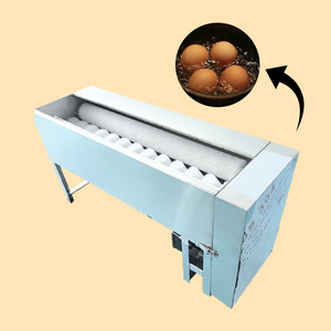 Machine à laver les œufs électrique de type brosse, petite machine de nettoyage des œufs de caille pour ligne commerciale de nettoyage et de traitement des œufs - Product Image 2