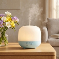 Diffuseur de parfum portable, diffuseur d'huiles essentielles, humidificateur d'air, lumière LED, diffuseur d'arômes ultrasonique