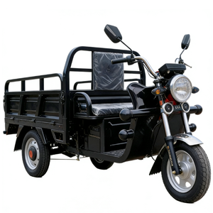 Op maat gemaakte open zwarte vetbanden onderdelen 1000W <span class=keywords><strong>3</strong></span>-wiel motorfietsen elektrische motorfiets vrachtwagen vrachtbezorging driewieler voor volwassenen - Product Image 2