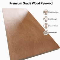 Portes en bois modernes de haute qualité en contreplaqué E1 Grade BB/CC 4x8FT personnalisables pour usage hôtelier