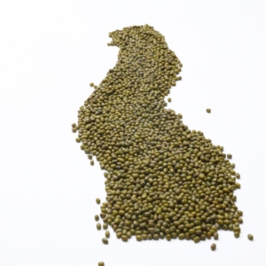 Yüksek kaliteli gıda sınıfı moong <span class=keywords><strong>dal</strong></span> 25 veya 50 kg fasulye doğal ürün yeşil maş fasulyesi gıda için - Product Image 4