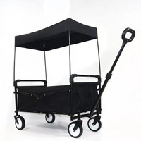 Chariot utilitaire pliant de plage de charge 80KGS avec toit détachable de Wheelsand, caddie de jardin