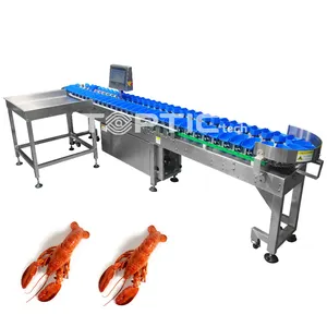 High precision Citrus Cassava Processing Sorting Fish Anchovy Check Weigher Conveyor Belt Type Weight Grading Machine