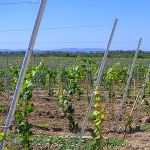 Vente chaude Poteau en acier galvanisé perforé en forme de U pour vignoble - Product Image 6