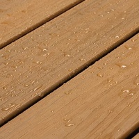Dalles de terrasse en composite WPC imperméables pour balcon, jardin et patio, intérieur/extérieur