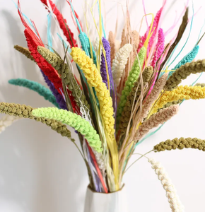 Approvisionnement d'usine fleurs décoration <span class=keywords><strong>millet</strong></span> Nature <span class=keywords><strong>Millet</strong></span> Fleur Herbe Graines Coloré Plante Naturelle <span class=keywords><strong>Millet</strong></span> Séché - Product Image 1