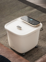 Bassin de Spa Électrique Vibrant et Massant NINGDECRIUS en Plastique pour Bain de Pieds avec Contrôle de Minuterie pour la Maison
