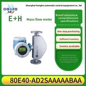 EH Quality Intelligent Pipeline Integrated <b>Flow</b> <b>Meter</b> Gas Natural High Sensor 80E Carbon Steel 80E40-AD2SAAAAABAA High Precision - Product Image 2