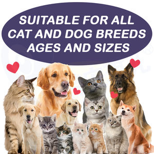 Productos herbales orgánicos para perros, limpieza del logotipo de la marca personalizada, para la salud Natural del perro, para la salud de las mascotas - Product Image 4