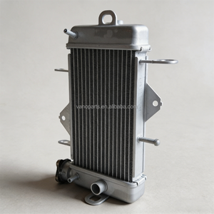 <span class=keywords><strong>Radiateur</strong></span> de <span class=keywords><strong>moto</strong></span> WANOU YZF R15 V1 avec ventilateur - Product Image 5