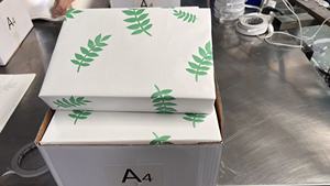 Giấy A4 xuất xưởng, sản phẩm giá rẻ, chất lượng cao <span class=keywords><strong>500</strong></span> tờ, 80g70g - Product Image 6