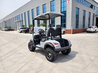 Lifted Off Road Diesel Golf Buggy 2 Seater Battery Operated Utility Cart for Industrial Park Theme Park Resort Maintenance Work